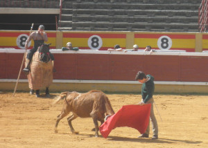 Natural del navarro Javier Marín a una de las vacas alfareñas.
