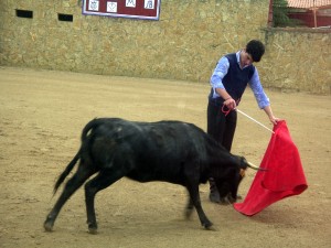 Toñete, ayundándose ante la segunda vaca de Bañuelos.