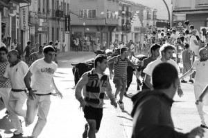 Numerosos mozos corrieron delante de los novillos de Ganadería de Pincha. Fotografía: Vaquero.