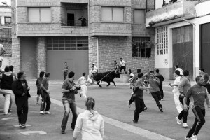 El último toro con soga, el segundo que salió a la calle, dejó buen sabor de boca en la afición. Fotografía: Juan Antonio Vaquero.