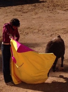 José Tomás tentando una vaca en la finca mexicana de Teófilo Gómez.