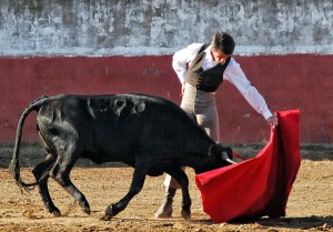 Marco torea por naturales a una vaca de El Madroñal.