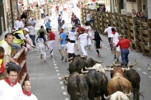 Los toros navarros de Santos Zapatería galopando por las calles de Tudela. Fotografía: Blanca Aldanondo.