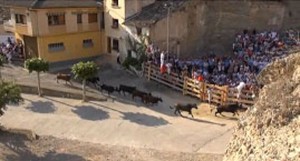 Un momento del encierro con vacas de Íñiguez.