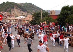 Los toros de Peñajara protagonizaron un bonito encierreo. Fotografía: Eduardo Buxens.