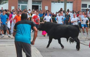 El toro ensogado de El Tolco, ayer en las calles de Lodosa. Fotografía: Vaquero.