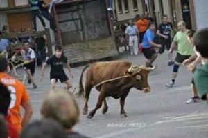 El toro de Alba Reta en sus primeros compases en las calles de Lodosa.