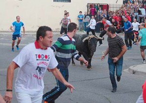 El toro de Victorino Martín en las calles de Lodosa. Fotografía. Juan Antonio Vaquero.