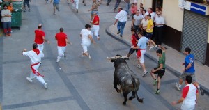 El toro con soga de Lodosa ya ha 'saltado' a los móviles.