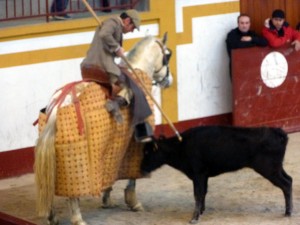 Josleito se animó a picar a la quinta vaca navarra de Santafé Martón.