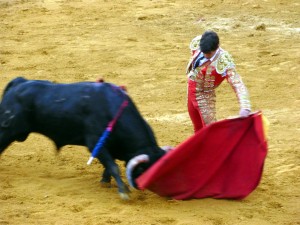 Javier Marín, al natural, el año pasado en la plaza de Lodosa.
