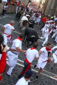 Fotografía: Enfoque Taurino.