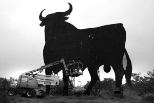 El toro de Osborne nuevo, ya reconstruido. Fotografía: NG. Landa.