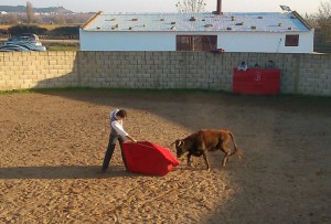 Serranito torea con la diestra a la tercera erala del tentadero, la mejor de las cuatro.