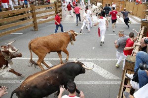 Imagen del primer encierro de las fiestas de Tudela del año pasado.