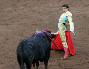 Francisco Marco citando a un toro en un ruedo venezolano.