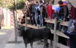 Una suelta de vacas de Íñiguez en Arguedas el año pasado.