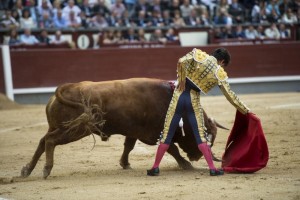Derechazo de Juan del Álamo al tercero, el único toro de Pedraza de Yeltes que ofreció buen juego. Fotografía: Javier Arroyo.