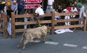 _AJOSECARLOSCORDO21031173_3871e29d