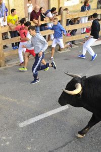A:ALBERTO GALDONA  F:15-08-2016 L:TAFALLA P: T:FIESTAS DE TAFALLA - ENCIERRO DIA 15