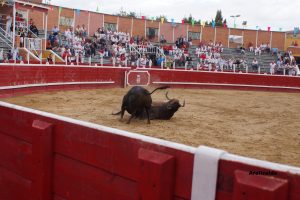 Momento en el que se han golpeado los dos toros de San Román. Fotografía: Alberto Aerizalde.