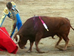 Derechazo del francés Leal a un toro de Apolinar Soriano, el año pasado en la plaza de Fitero.