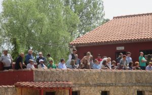 Numerosos aficionados se dieron cita en la plaza de tientas de La Cabañuela.