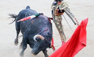 Al igual que el año pasado, Roca Rey toreará dos tardes en Pamplona.
