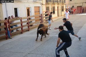 Una suelta de vacas en Carcastillo hace unos años.