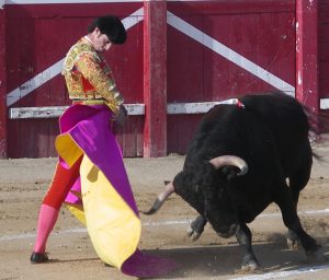 Media de Luis Vilches a un toro de Hilario Serrano hace algo más de diez años en la plaza de Sangüesa.