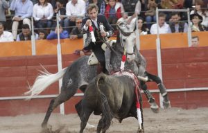 Dom Quixote. Villa Hidalgo. 28-I-2018