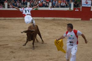 Salto del ángel en un concurso en Aldeanueva de Ebro.