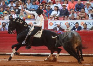 Guillermo Hermoso con 'Jíbaro' paró de salida en La México al toro 'Confirmado', de Los Encinos. Fotografía: pablohermoso.net